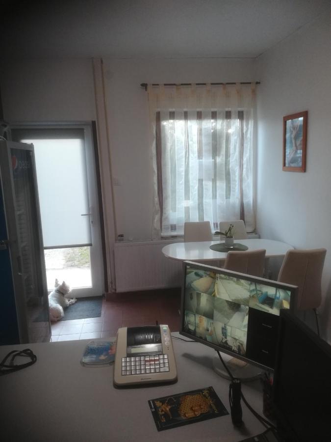 Hotel Fekete Macska Panzio à Tata Extérieur photo